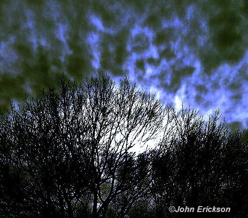 2018-0226-Park-Tree-Bare_w_Silver-BAL-CRP-NAME.jpg